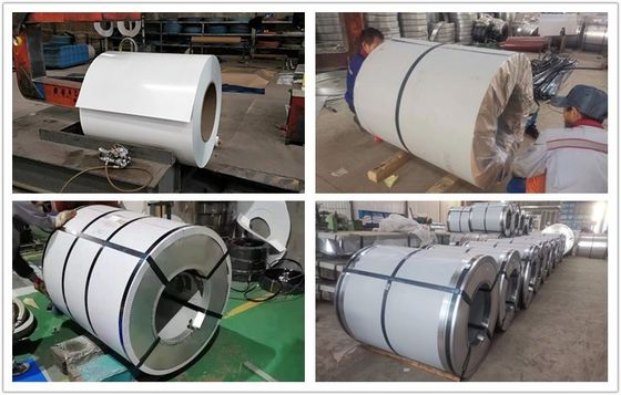 0.35*1219mm Größe Ral 9003 Vorlackierte galvanisierte PPGI-Stahlspule Grade DX51D Z/SGCC/DC01 Z/DC51D Z 3-5 Tonnen Spule Gewicht